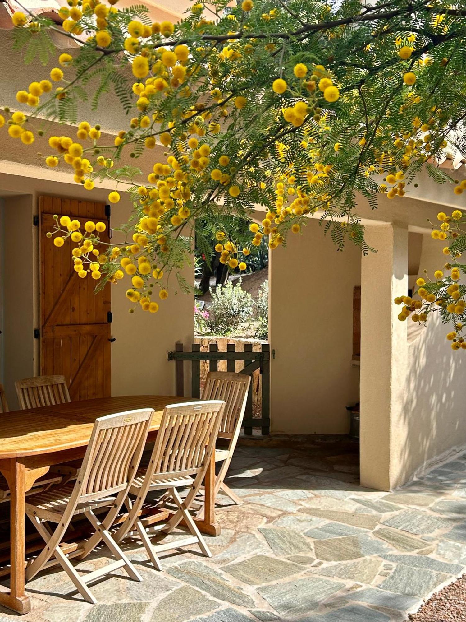 Residence Les Toits De Santa Giulia Porto-Vecchio  Exterior foto